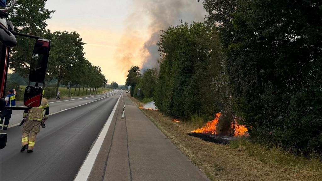 Böschungsbrand an Bahnstrecke Homburg St. Ingbert