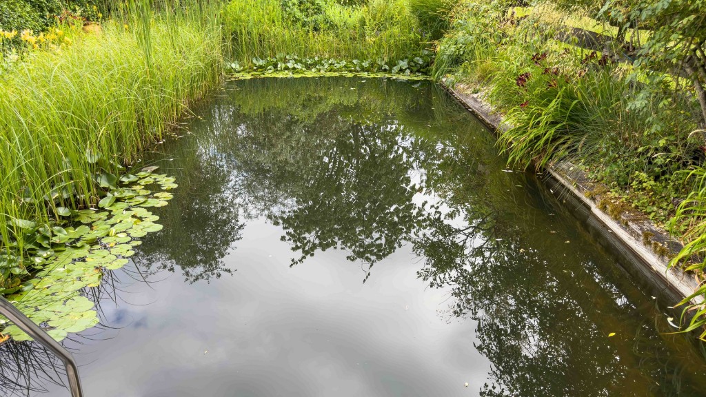 Naturschwimmteich