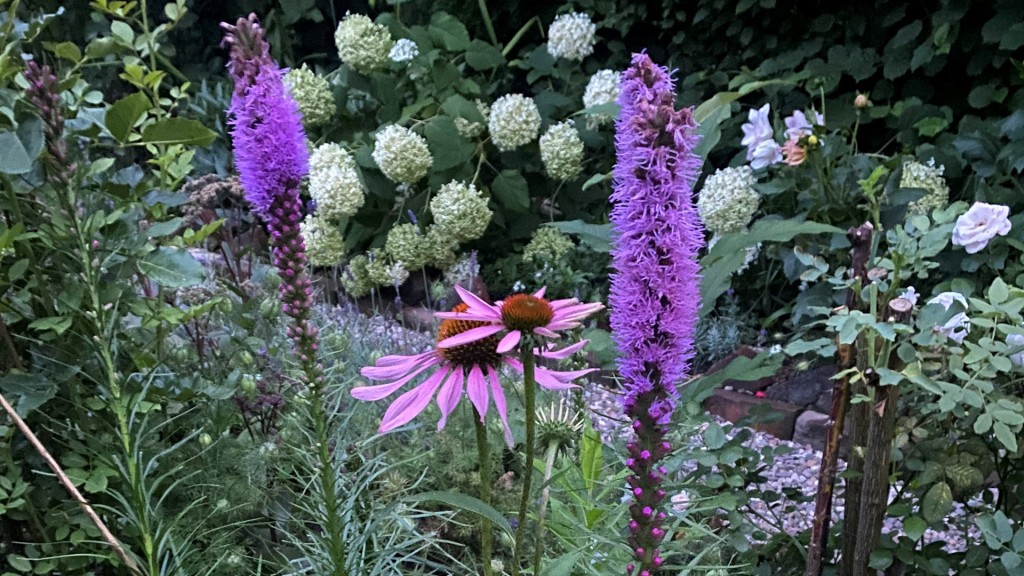 Bild zum Beitrag