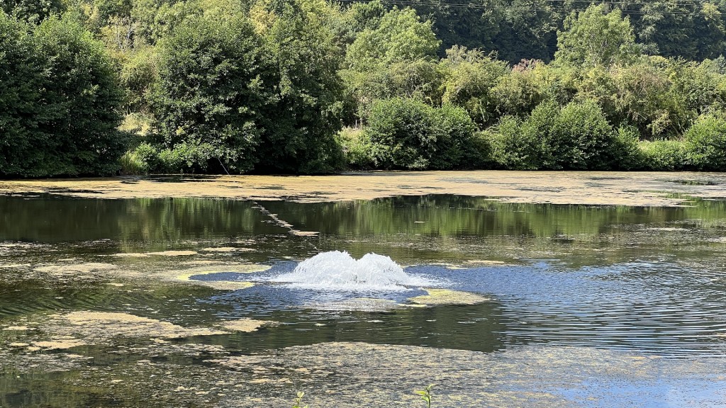 Sauerstoffzufuhr im Weiher 