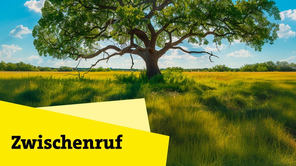 Bild zum Beitrag
