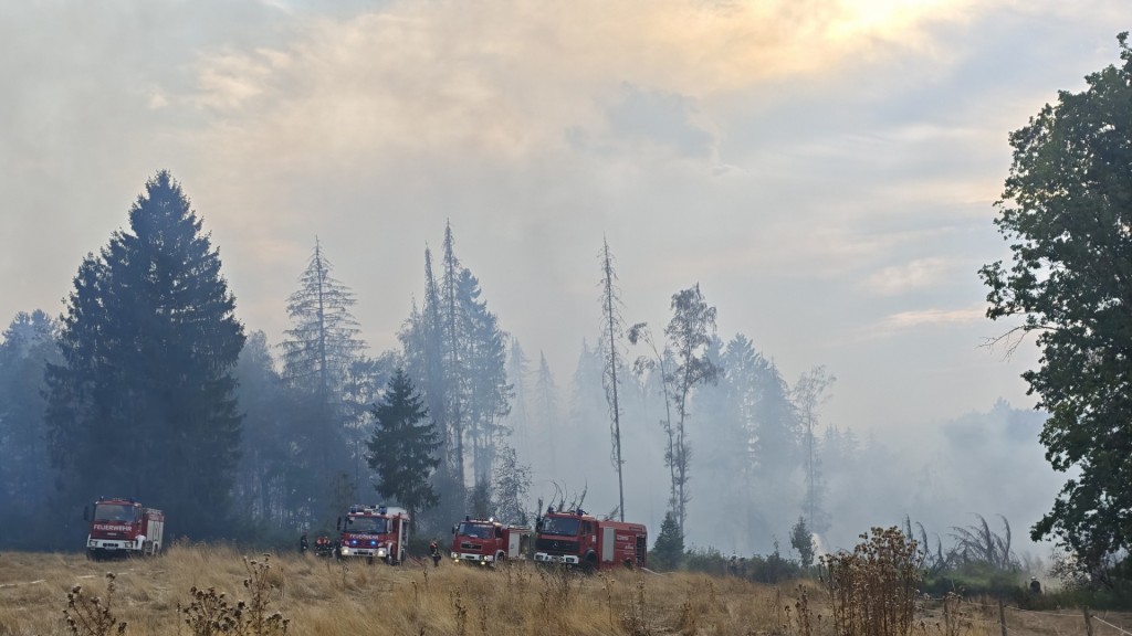 Foto: Feuerwehreinsatz vor einem Waldstück bei Illingen