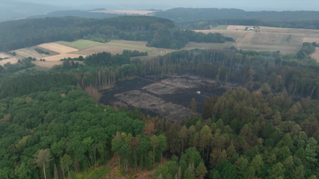 Foto: Update_si2145: Waldbrand Illingen-Hüttigweiler