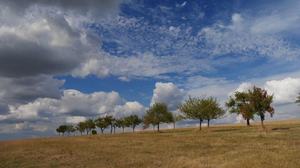 Landschaftsbild