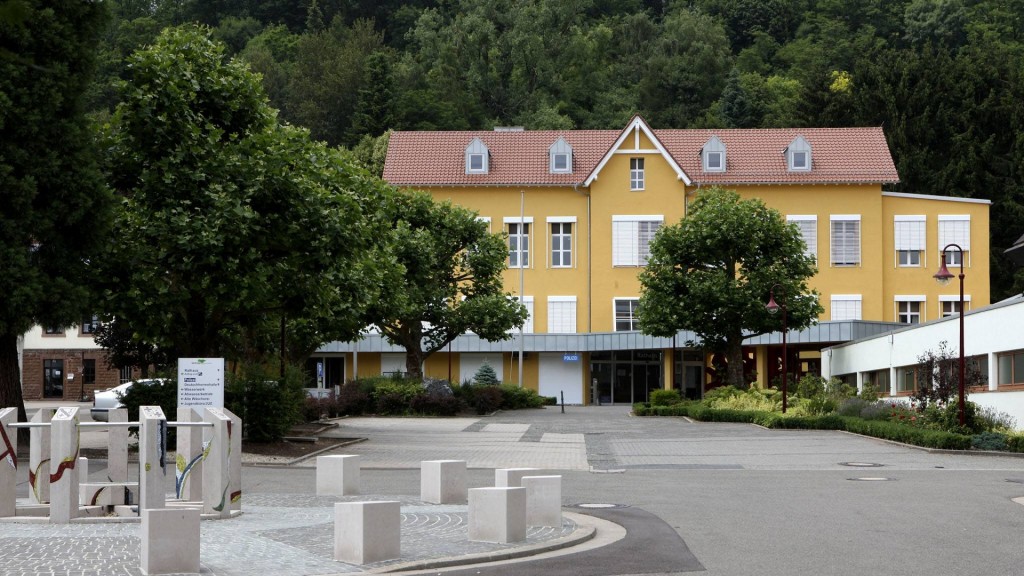 Bild zum Beitrag