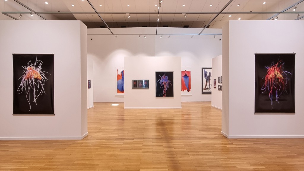 Blick in die Ausstellung „HEISLER │ Kein Foto ein Zufall. Kein Werk ohne Geheimnis.“