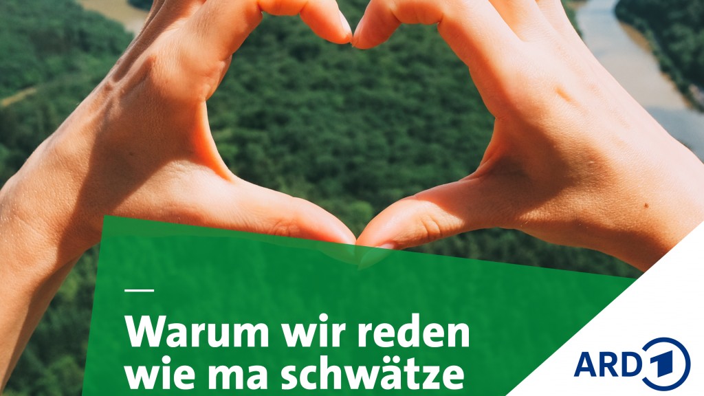 Bild zum Beitrag
