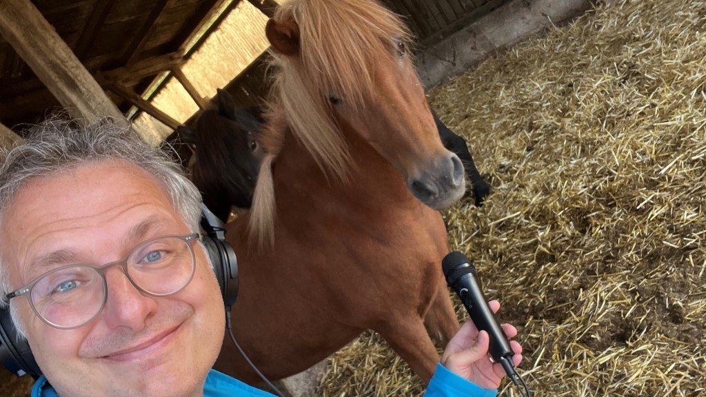 Bild zum Beitrag