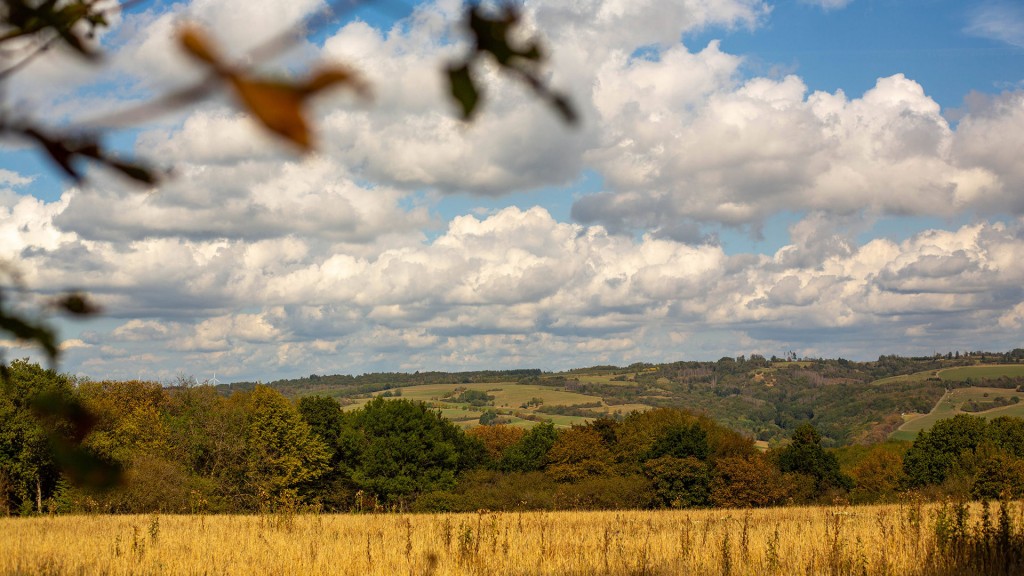 Foto: Hügellandschaft mit trockenen Feldern