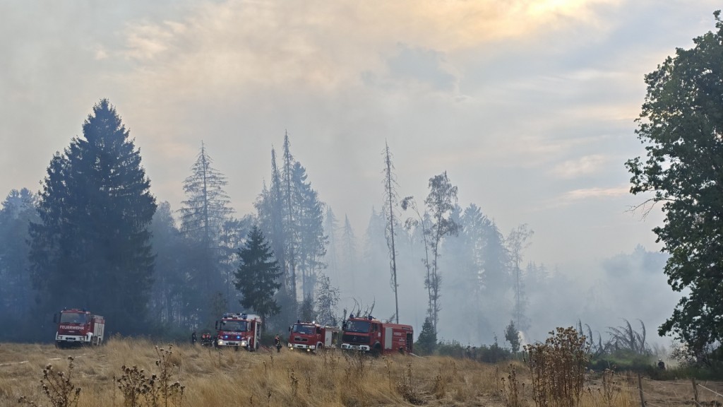 Feuerwehreinsatz vor einem Waldstück bei Illingen