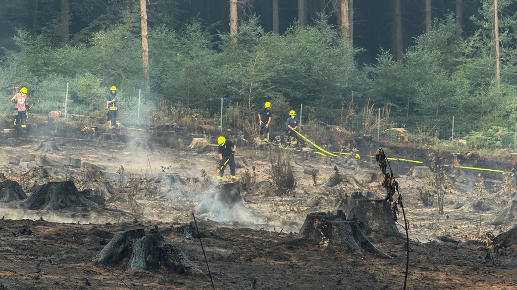 Feuerwehrkräfte im Wald bei Illingen