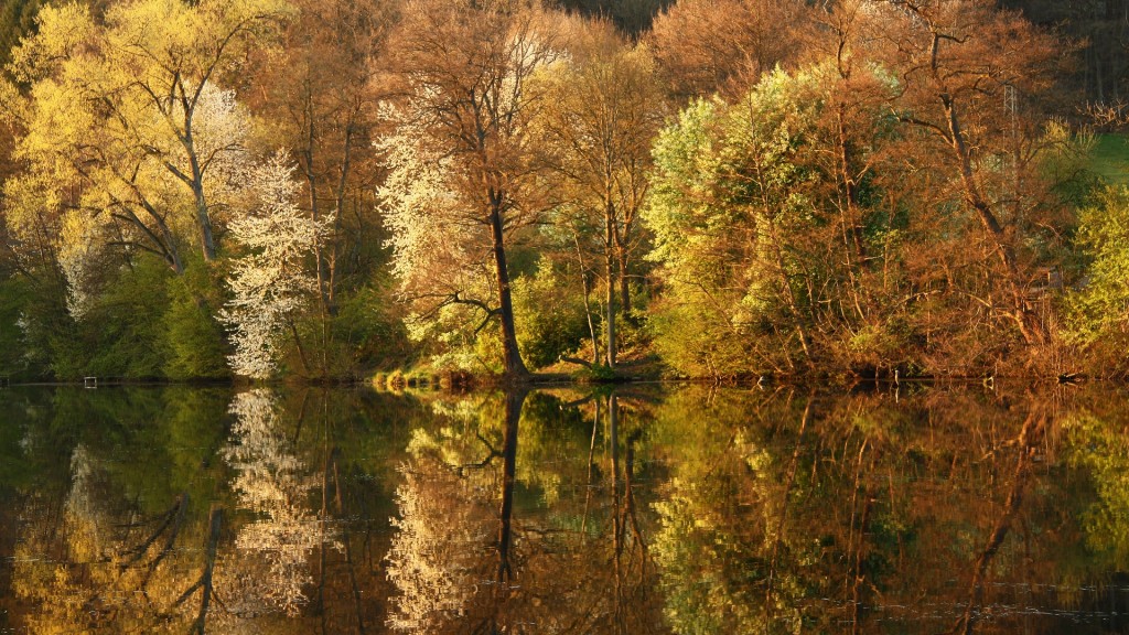 Der Niederwürzbacher Weiher im Herbst