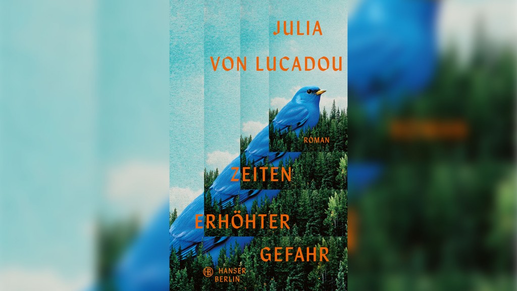 Buch-Cover: Julia von Loucandou - „Zeiten erhöhter Gefahr“