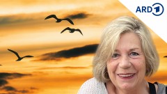 Schicksal - der SR1-Podcast über das Leben